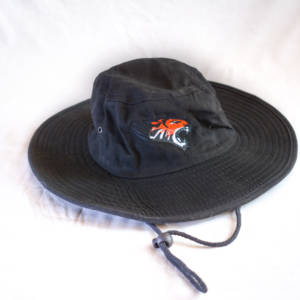CCD Tigers Hat